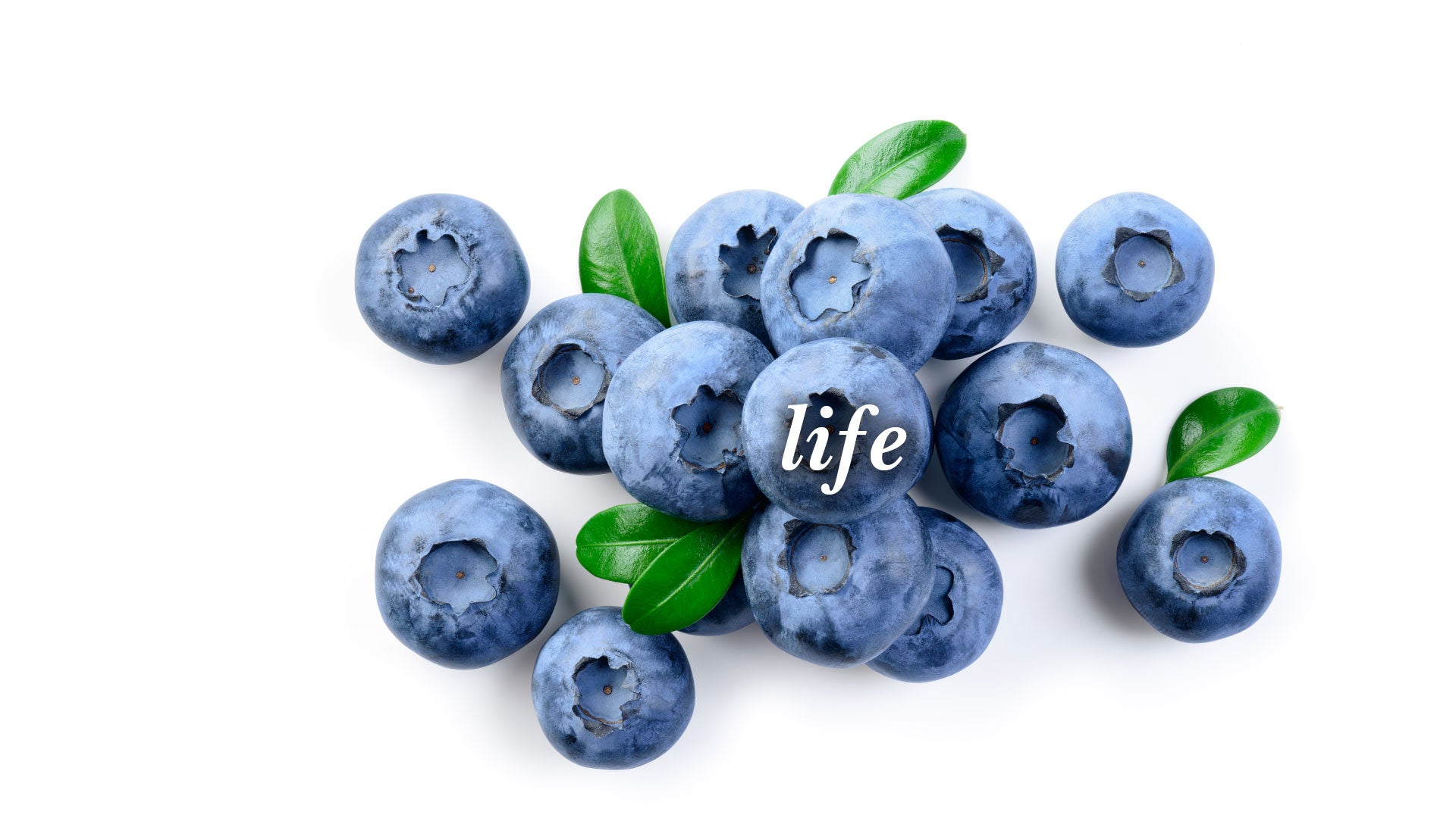 Blueberries with green leaves and the word "life" written on them